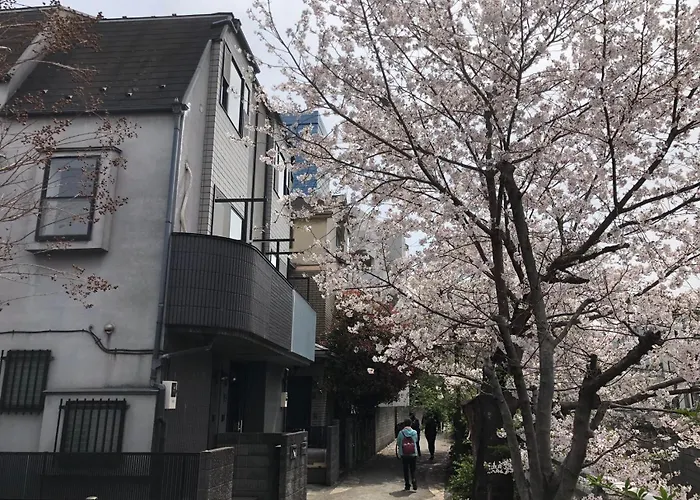 Sakurakan