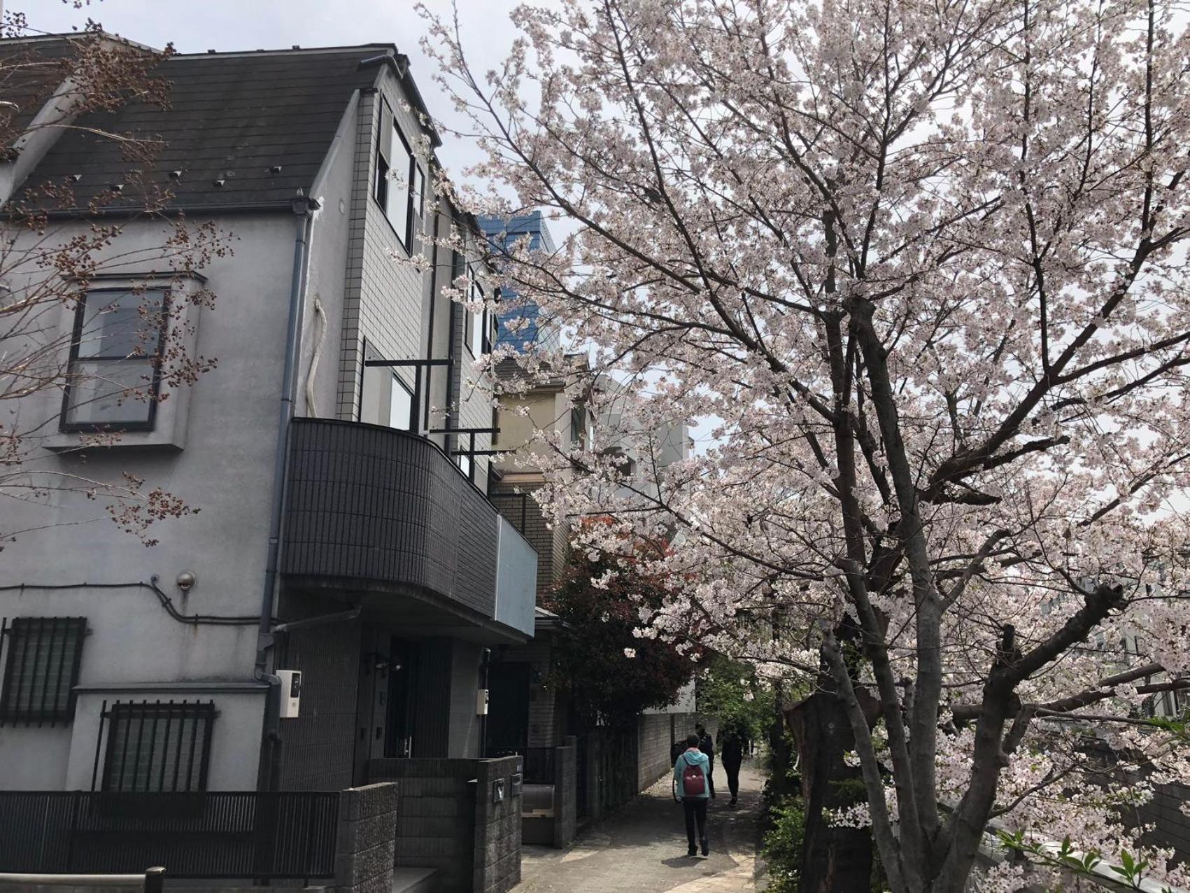 Villa Sakurakan *
